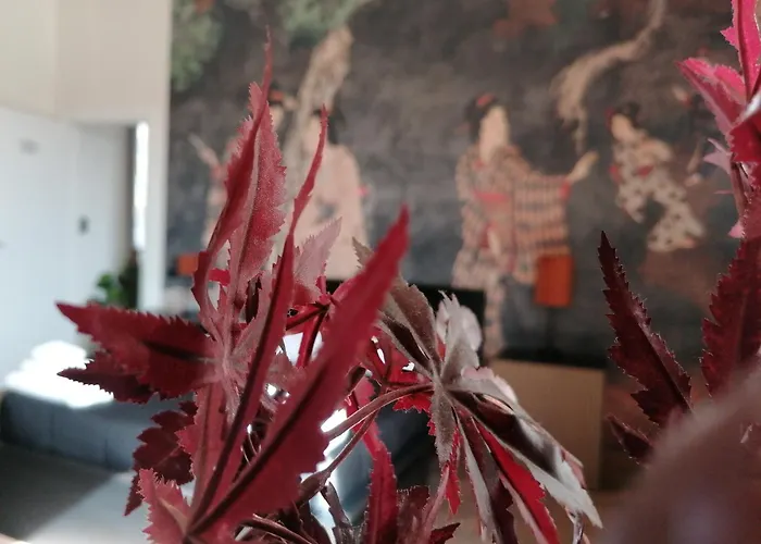 Le Boutique Luxury Rooms Diffused In Historical Center Fiumicino
